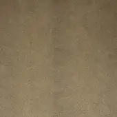 24203074 - OCRA